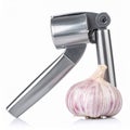 Shiny Silver Garlic Press Beside a Head of Garlic on White Background Royalty Free Stock Photo