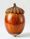 Shiny Smooth Brown Acorn Close Up on White Background Studio Shot Royalty Free Stock Photo