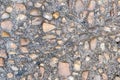 Shiny stones, quartz, embedded in concrete