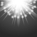 Shiny sunburst of sunbeams on the abstract sunshine background and transparency. Royalty Free Stock Photo