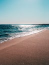 A shiny swedish beach in the summer