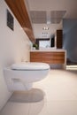 Shiny toilet in contemporary house
