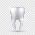 Shiny tooth. Realistic healthy clear white tooth isolated on transparent background, enamel whitening in dental clinic