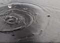 Shiny water drops on black background Royalty Free Stock Photo