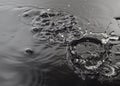 Shiny water drops on black background Royalty Free Stock Photo