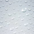 Shiny Water Drops Royalty Free Stock Photo
