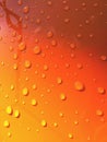 shiny water drops on orange colour background