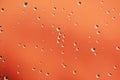 Shiny water drops on orange red background Royalty Free Stock Photo