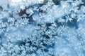 Shiny winter window ice decoration Royalty Free Stock Photo