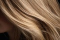 Fashion healthy beauty blond brown textured style background long hair female shiny curl Royalty Free Stock Photo