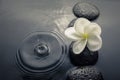 Shiny zen stones with water drops and plumeria flower. Top view Royalty Free Stock Photo