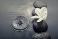 Shiny zen stones with water drops and plumeria flower. Top view Royalty Free Stock Photo