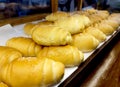 Shio Pan, salt butter bread roll in bakery shop Royalty Free Stock Photo