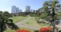 Shiodome buildings in Hamarikyu Gardens Royalty Free Stock Photo