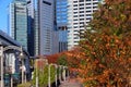 Shiodome, Tokyo - autumn season Royalty Free Stock Photo