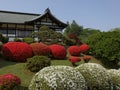 Shiogama shrine - Japan