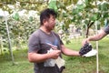 Shiozaki farm grapes testing