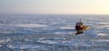 Ship in the Arctic Royalty Free Stock Photo