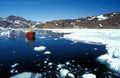 Ship in the artic sea by eastern Greenland Royalty Free Stock Photo