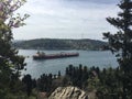 Ship in the Bosphorus Framed by Trees Istanbul Turkey