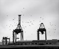 Ship cargo loading dock silhouette Royalty Free Stock Photo