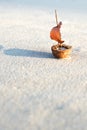 Ship with leaf nutshell Royalty Free Stock Photo