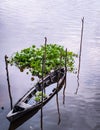 A ship sank on the edge of a river