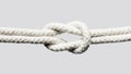 ship white ropes knot isolated white background. High quality photo