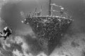 Ship Wreck in maldives indian ocean in b&w Royalty Free Stock Photo