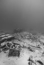 Ship wreckage on the ocean floor.