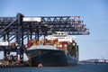 Shipping container cargo vessel