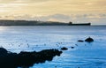 Shipping Freighters Near Vancouver