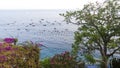 Ships anchored in Amalfi Harbor Marina Coppola