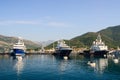 Ships in the Bay of Tivat, Montenegro