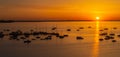 Ships, boats and yachts moored in the bay against the backdrop of the rising sun Royalty Free Stock Photo