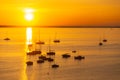 Ships, boats and yachts moored in the bay against the backdrop of the rising sun Royalty Free Stock Photo