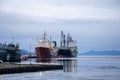 Ships in the harbour of Ushuaia, Tierra del Fuego. Royalty Free Stock Photo