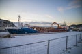 Ships have uploaded timber (early morning) Royalty Free Stock Photo