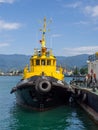 Ships in the port bay. Fishing trailer. Sea transport. Industry. In the Black Sea port. Batumi. The tugboat is moored in the port