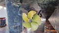 Ships propeller viewed from drydock