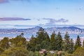 Ships in San Francisco Bay. Evergreen trees in Montclair neighborhood of Oakland California port Royalty Free Stock Photo