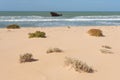 Shipwreck in the Atlantic ocean Royalty Free Stock Photo