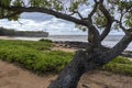 Shipwreck beach and the Pacific Ocean in Koloa, Hawaii, USA Royalty Free Stock Photo