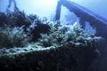 Shipwreck in the Blue Water, Rusty Shipwreck with Growing Corals