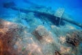 Shipwreck in the Blue Water, Rusty Shipwreck with Growing Corals, Underwater Sunken Ship