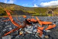 Shipwreck Royalty Free Stock Photo