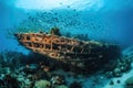 shipwreck lying on the bottom of the ocean, surrounded by schools of fish Royalty Free Stock Photo