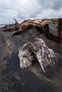 Shipwreck on Patea Beach
