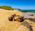 Shipwreck Remains Washed Up On The Shore of Anaeho\'omalu Bay Royalty Free Stock Photo