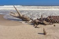 A shipwreck in the Skeleton Coast National Park in Namibia Royalty Free Stock Photo